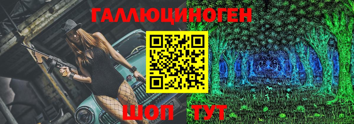 Галлюциногенные грибы Psilocybe Заводоуковск