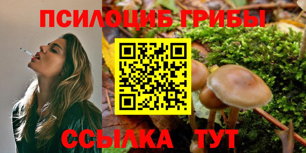 Псилоцибиновые грибы MAGIC MUSHROOMS  Вход с VPN  Заводоуковск 