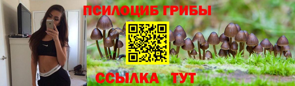 Заводоуковск  Гашиш  Вход с VPN  LSD-25  Гашиш  Бошки Шишки  МЕФ   COCAIN 